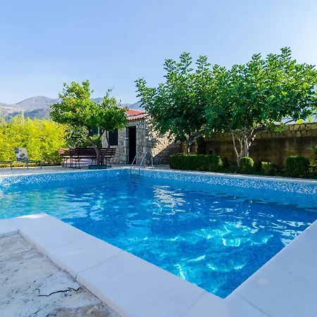 Setemana * 믈리니